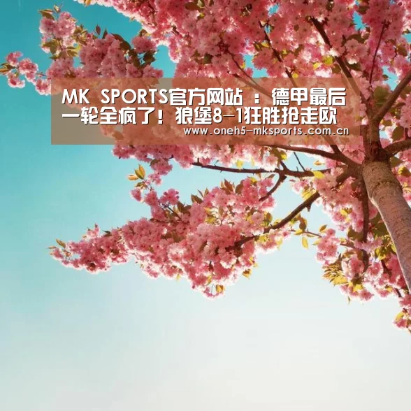 MK体育 