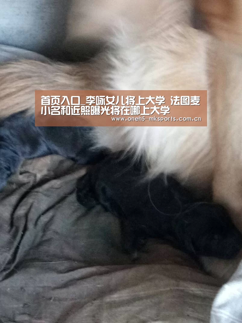  首页入口