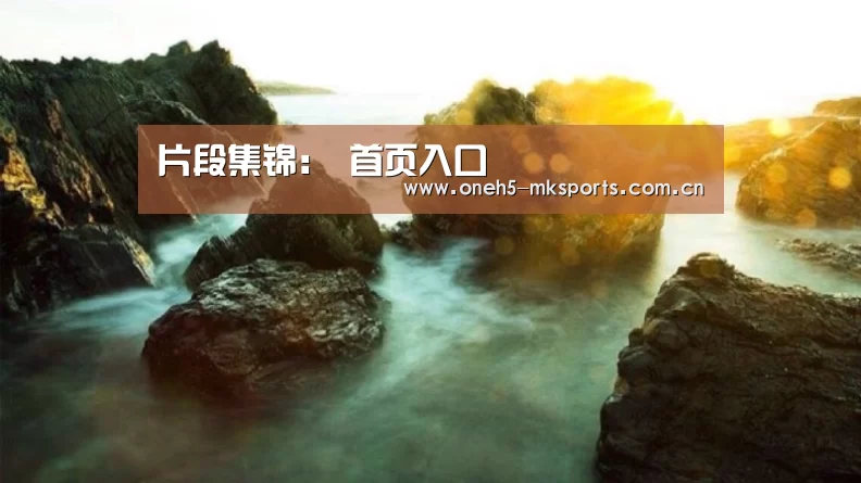  首页入口