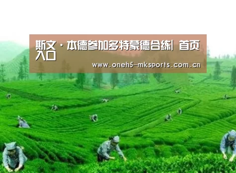 MK体育 