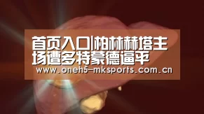 MK体育 