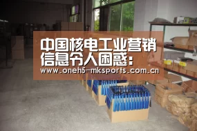 中国核电工业营销信息令人困惑: 首页入口(图2) MK体育