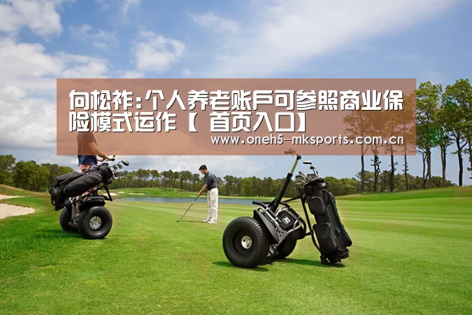 向松祚:个人养老账户可参照商业保险模式运作【 首页入口】(图2) MK SPORTS官方网站