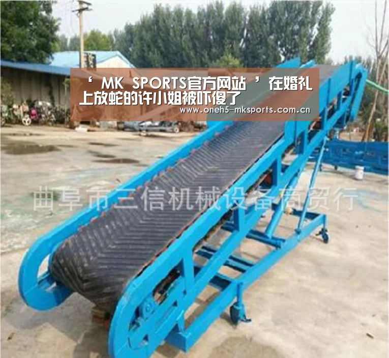‘ MK SPORTS官方网站 ’在婚礼上放蛇的许小姐被吓傻了(图1) 首页入口